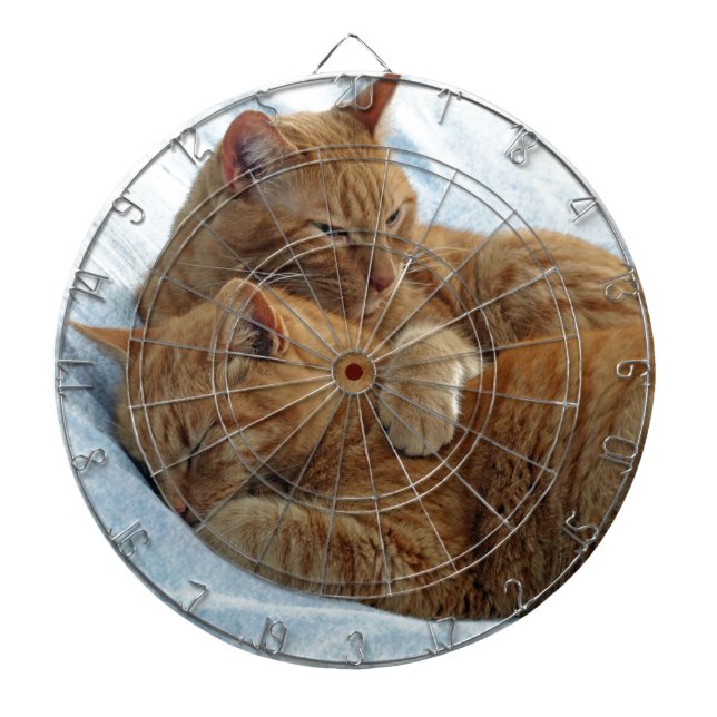 Brotherly Love Dartboard (Front)