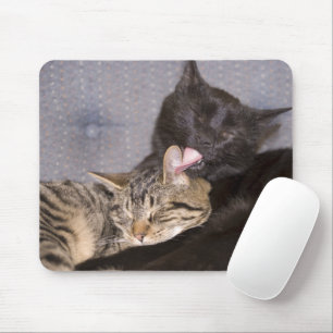 Brotherly Love Mouse Pad