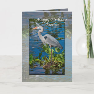 Brother's Birthday Card with Great Blue Heron
