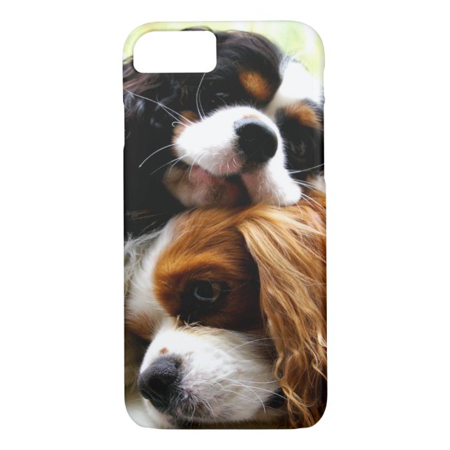 Brothers Cavaliers iPhone 7 Case (Back)