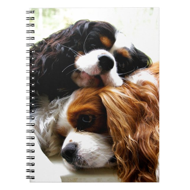 Brothers Cavaliers Spiral Notebook (Front)