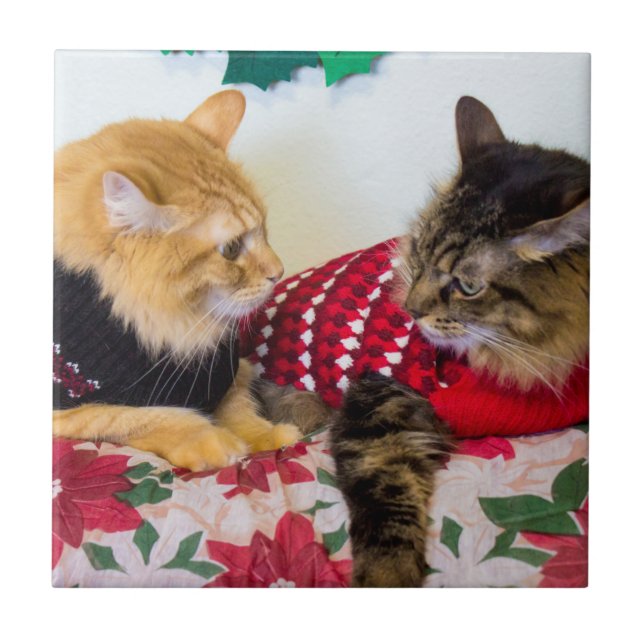 Brothers Tile (Front)