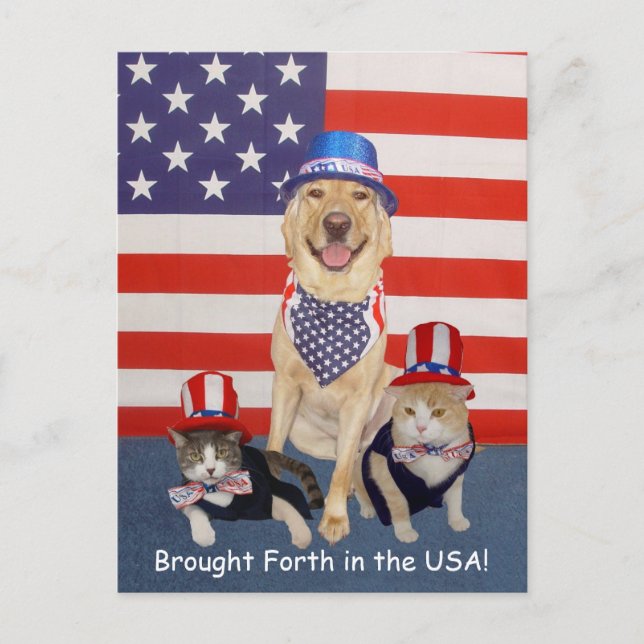 Brought Forth in the USA! Postcard (Front)