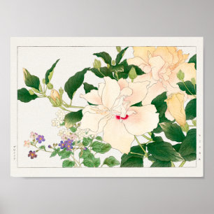Browallia, Hibiscus by Tanigami Konan Poster