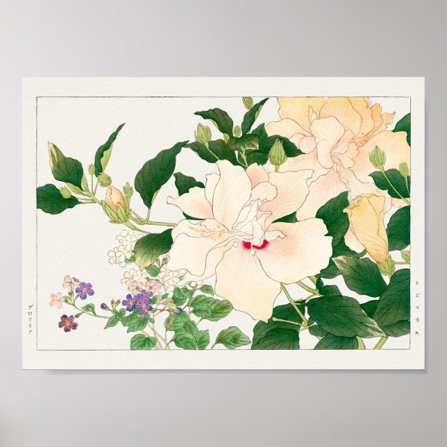 Browallia, Hibiscus by Tanigami Konan Poster (Front)