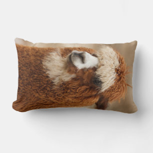 Brown Alpaca custom throw pillow