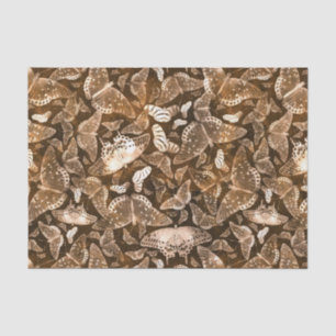 Brown and Beige Butterflies Pattern Tissue Paper