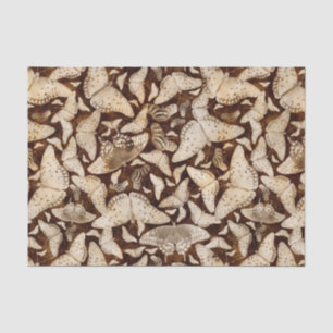 Brown and Beige Butterflies Tissue Paper