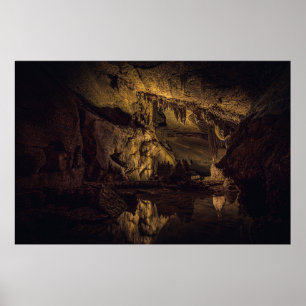 BROWN AND BLACK CAVE PAINTING POSTER