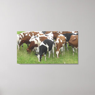 Brown and Black Dairy Cows Wrapped Canvas Art