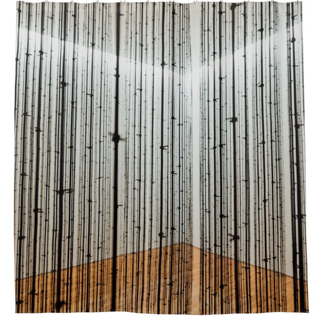 Brown and black illustration shower curtain (Front)