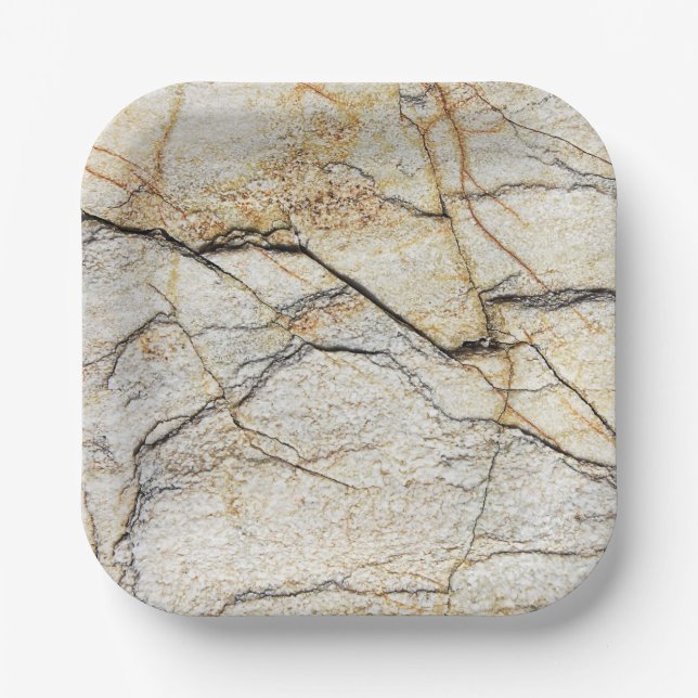 Brown and Black Textured Mable Stone  Paper Plate (Front)