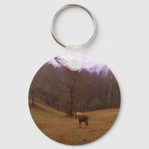 Brown and Blonde Horse in a field Key Ring