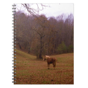 Brown and Blonde Horse in a field Spiral Notebook