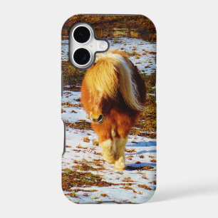 Brown and cream miniature horse in the snow.