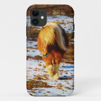 Brown and cream miniature horse in the snow.