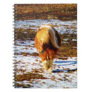Brown and cream miniature horse in the snow. notebook