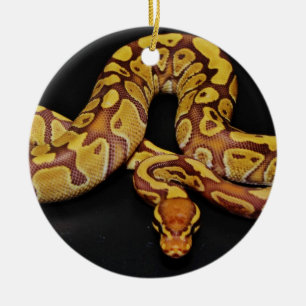 Brown and Gold Ball Python Ceramic Tree Decoration