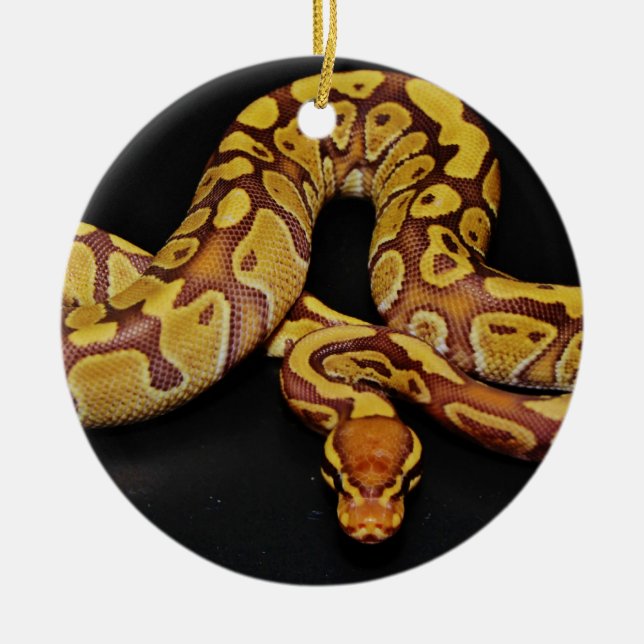 Brown and Gold Ball Python Ceramic Tree Decoration (Front)