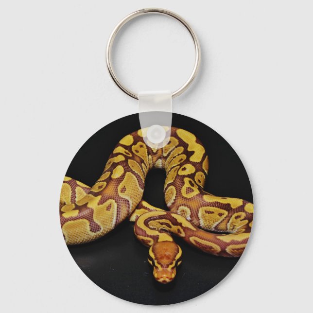 Brown and Gold Ball Python Key Ring (Front)