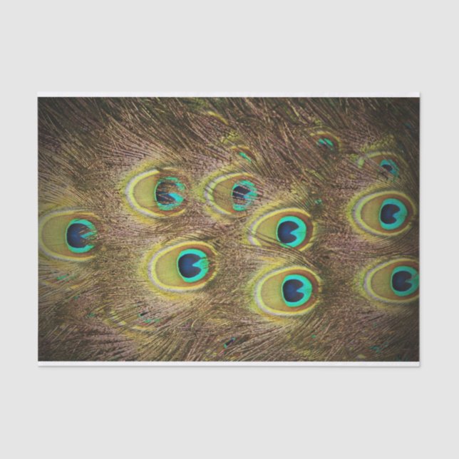 Brown and Gold Peacock Feather Tissue Paper (Front)