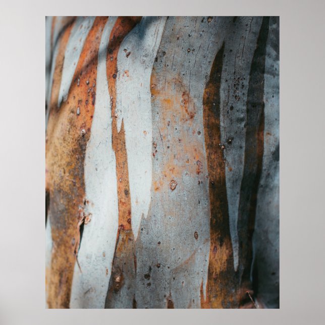 Brown and gray tree trunk poster (Front)