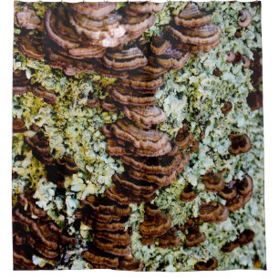 Brown and Green Mushroom Shower Curtain