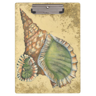 Brown and Green Seashell Clipboard