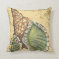 Brown and Green Seashell