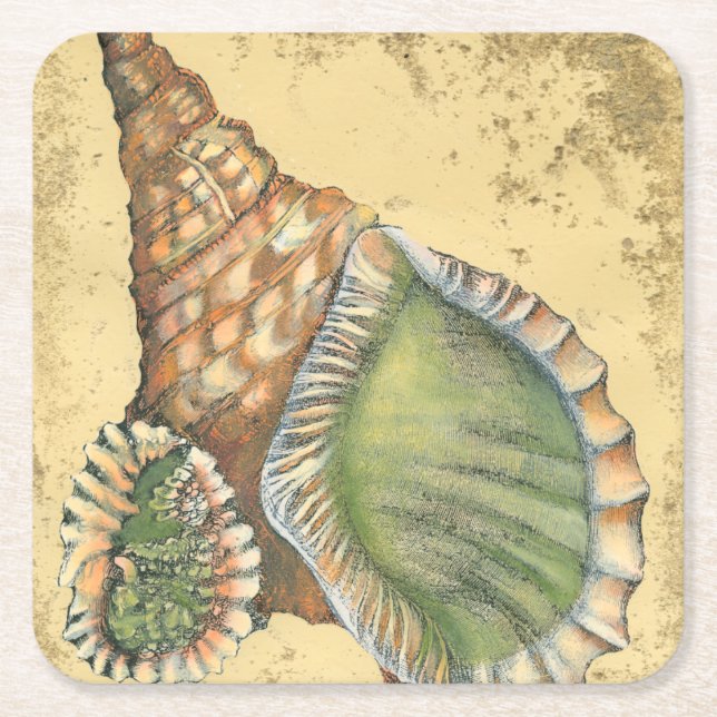 Brown and Green Seashell Square Paper Coaster (Front)