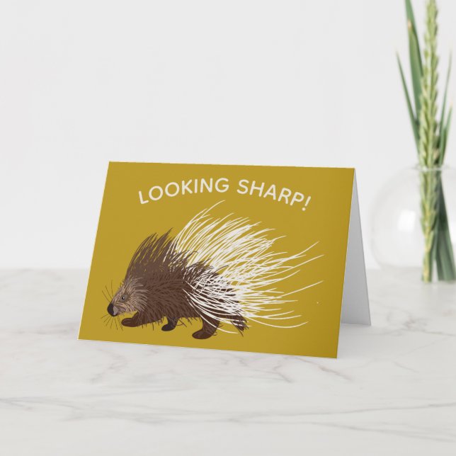 Brown and Mustard Porcupine Birthday Card (Front)