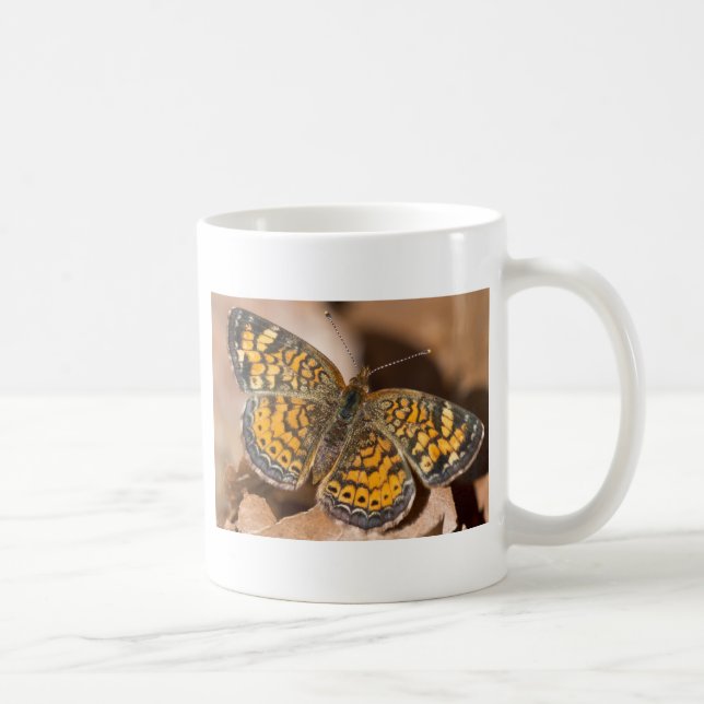 Brown and Orange Moth Apparel and Gifts Coffee Mug (Right)
