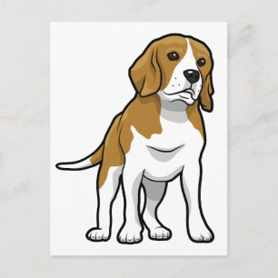 Brown and White Beagle Postcard
