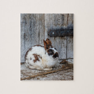 Brown and White Bunny  Rabbit on the Farm Jigsaw Puzzle