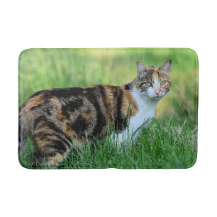 Brown and white cat bath mat
