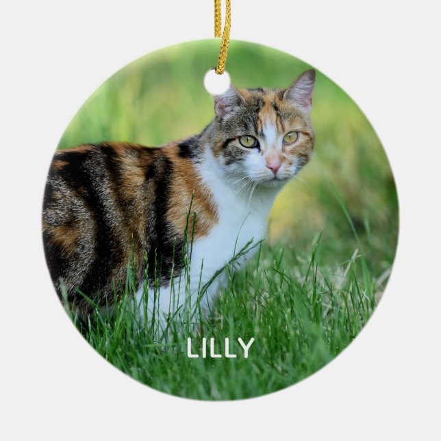 Brown and white cat ceramic tree decoration (Front)