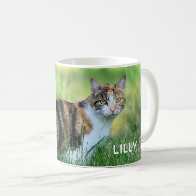 Brown and white cat coffee mug (Front Right)