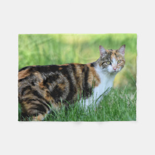 Brown and white cat fleece blanket