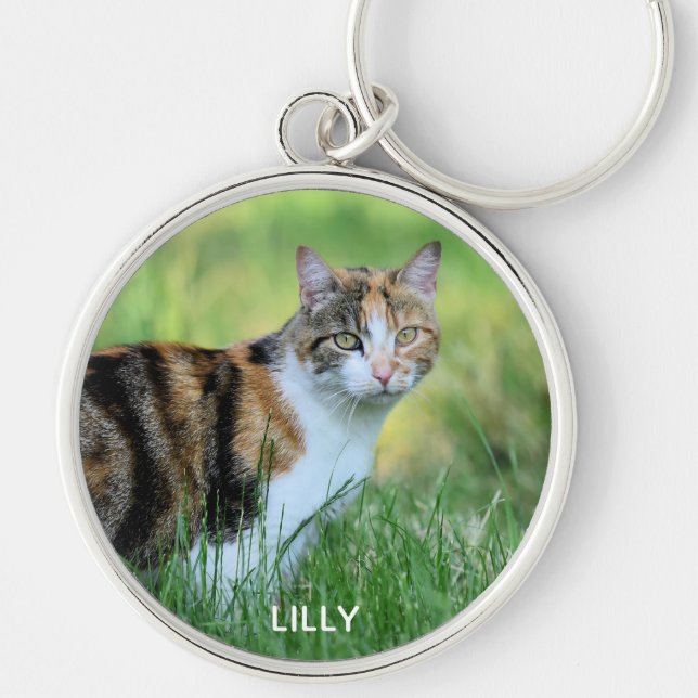 Brown and white cat key ring (Front)