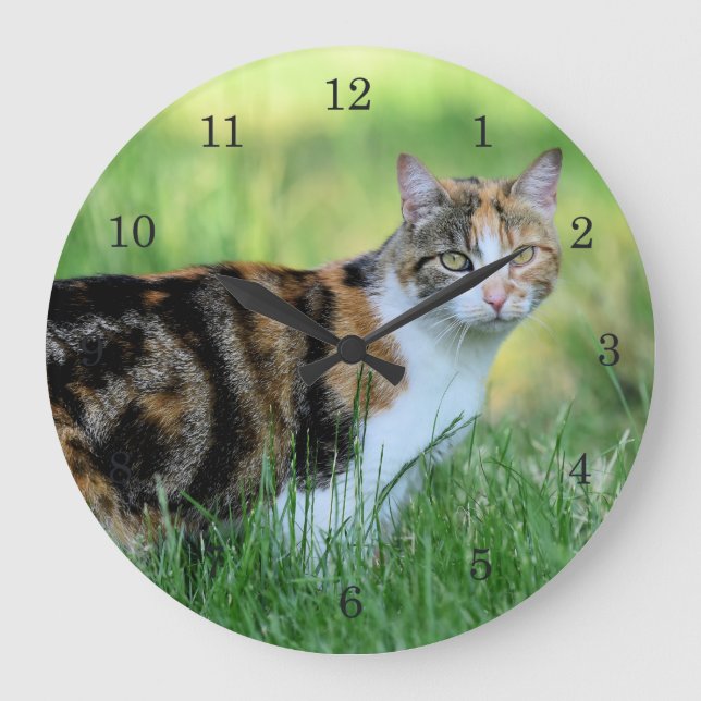 Brown and white cat large clock (Front)