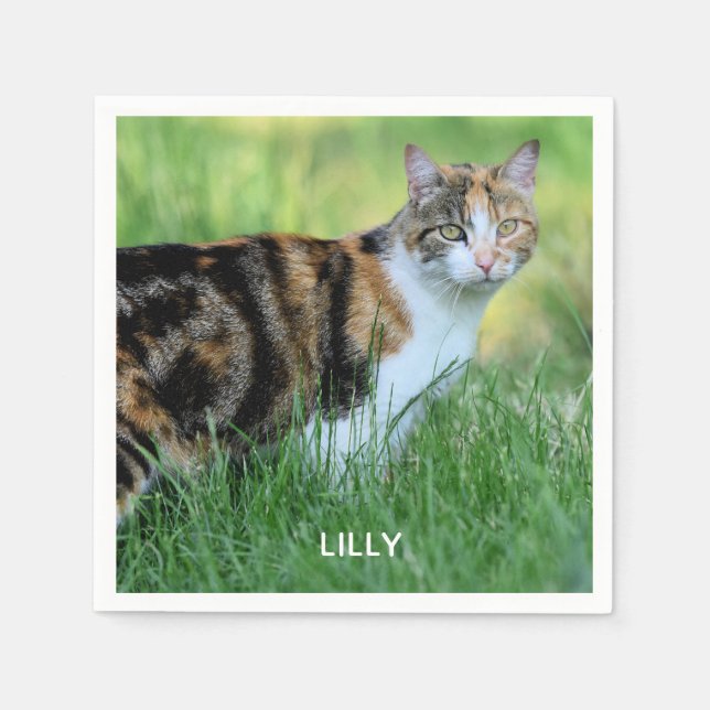 Brown and white cat napkin (Front)