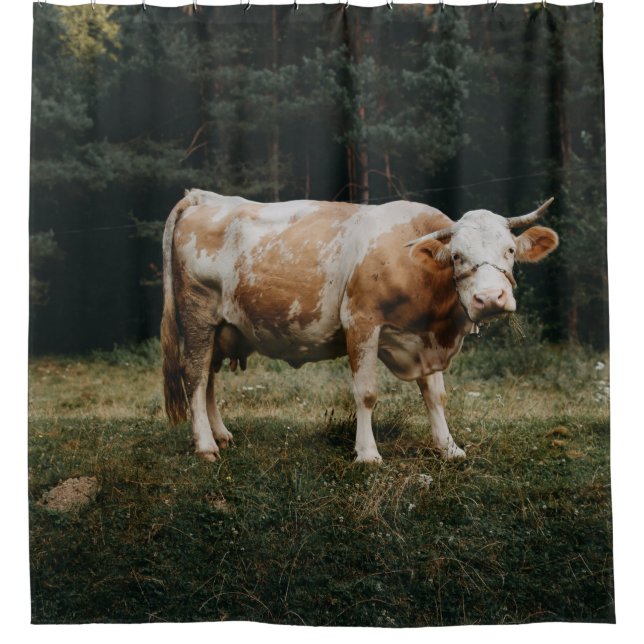 BROWN AND WHITE CHAINED COW SHOWER CURTAIN (Front)