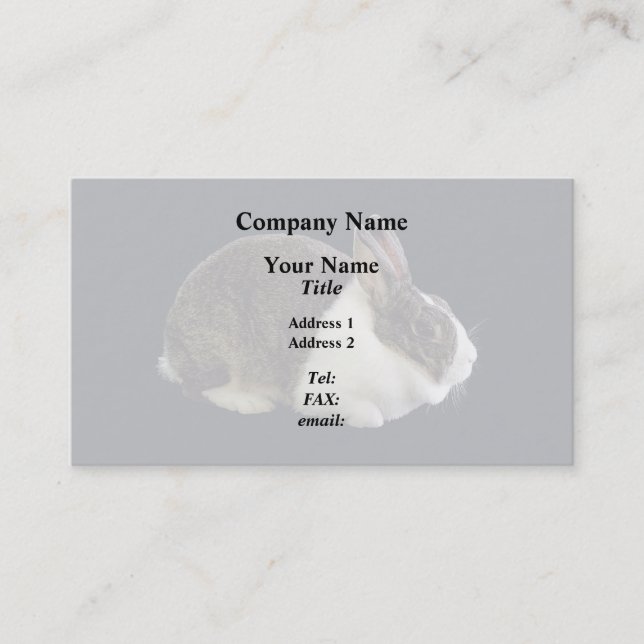 Brown and White Dutch Rabbit Business Card (Front)