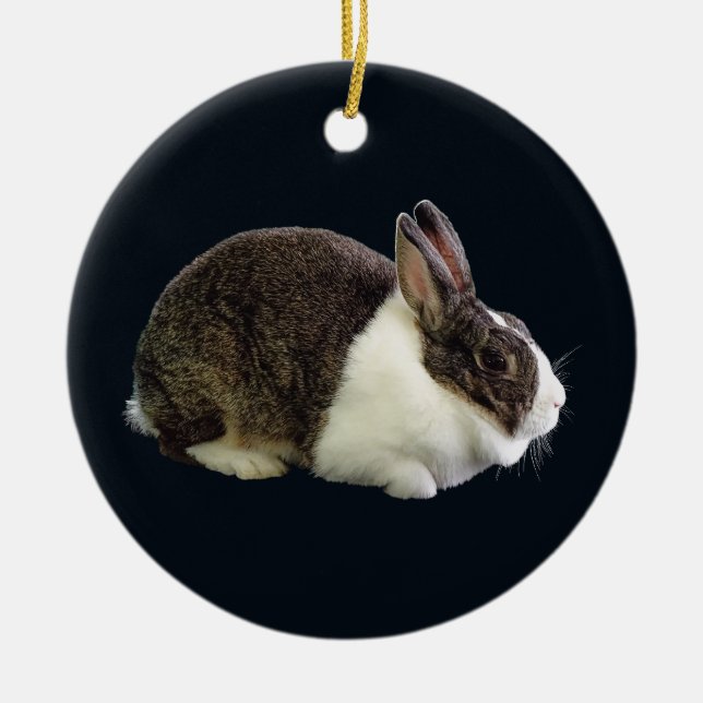 Brown and White Dutch Rabbit Ceramic Tree Decoration (Front)
