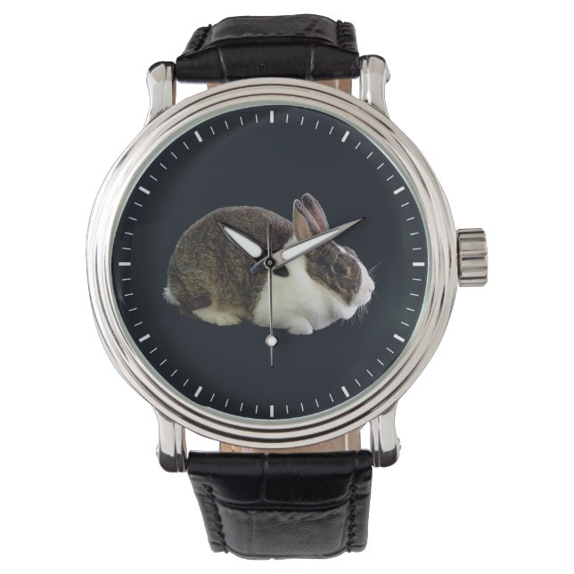 Brown and White Dutch Rabbit Watch (Front)