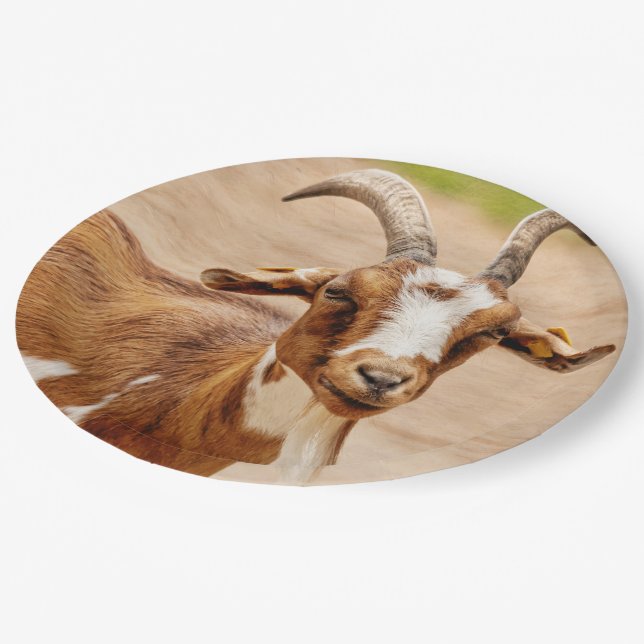 Brown and White Goat Paper Plate (Angled)