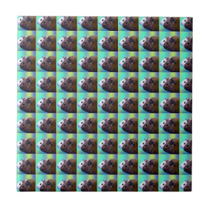 Brown And White Guinea Pig Brick Pattern, Tile