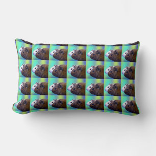 Brown And White Guinea Pigs, Lumbar Cushion