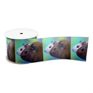 Brown And White Guinea Pigs, Satin Ribbon