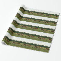 Brown and White Hereford Cattle